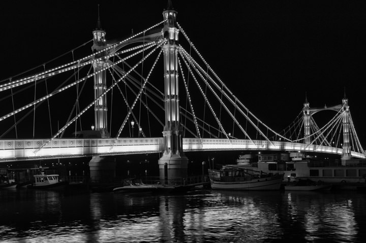Photograph of Albert Bridge 11