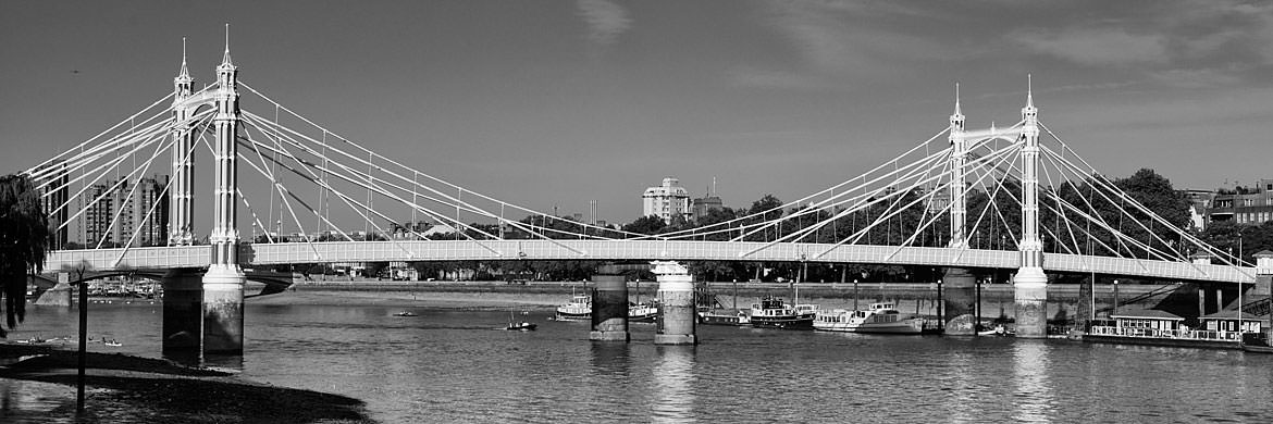 Photograph of Albert Bridge 16