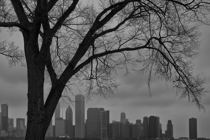 Photograph of Chicago Skyline 6