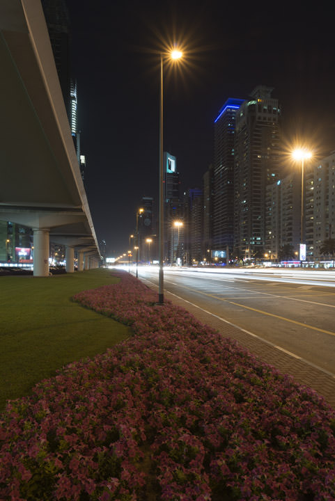 Dubai Street Scene 