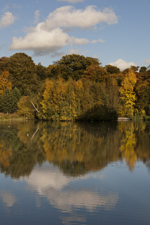 Hampstead Heath in Autumn 