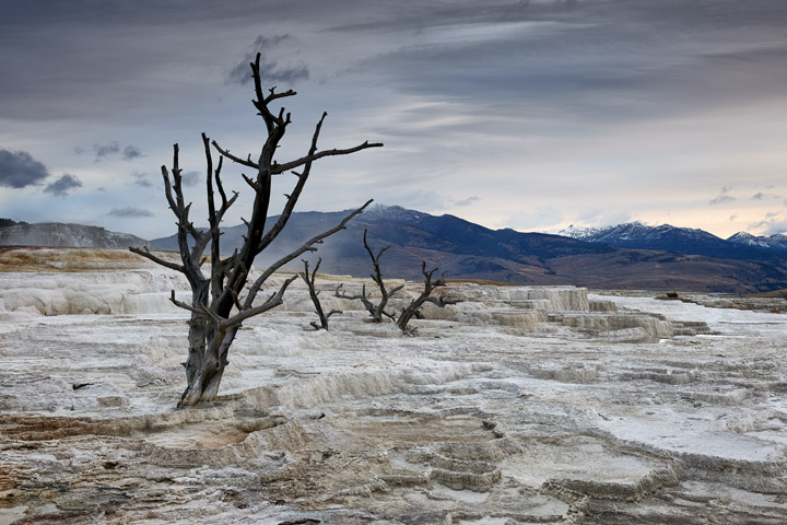 Photograph of Mammoth Hot Springs 1
