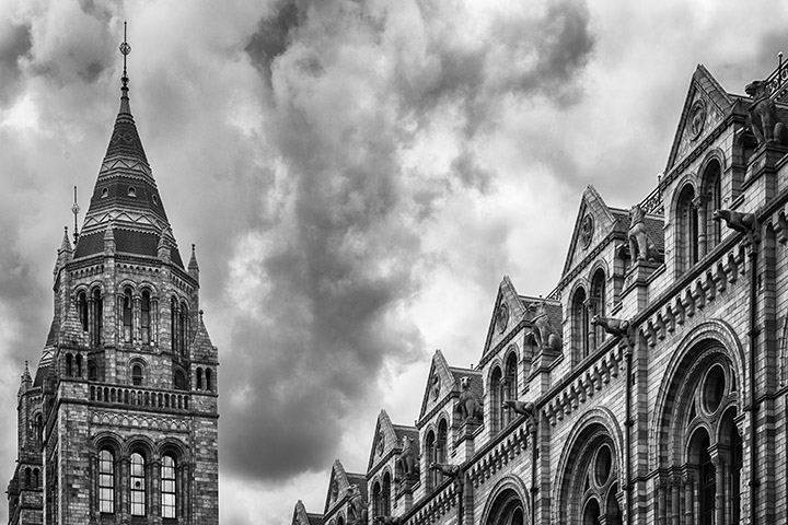 Photograph of Natural History Museum 5