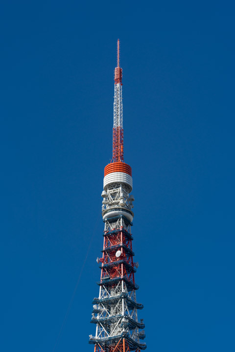 Photograph of Tokyo Tower 8