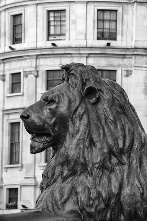 Photograph of Trafalgar Square Lion 2