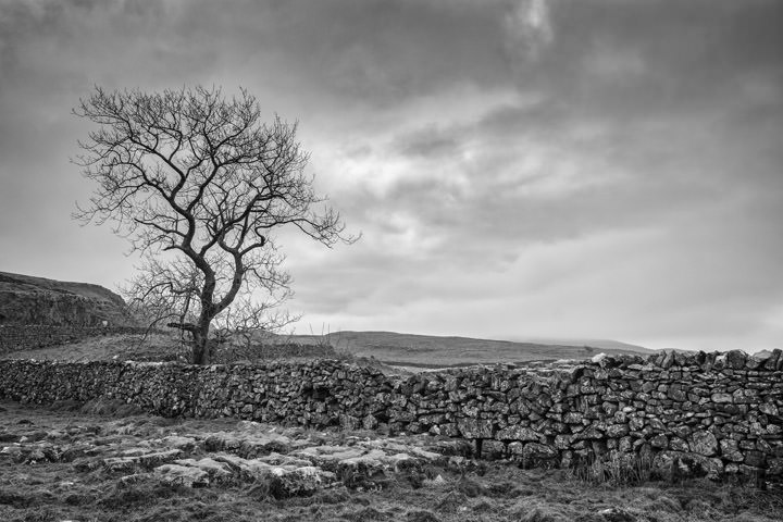 Photograph of Yorkshire Dales 1